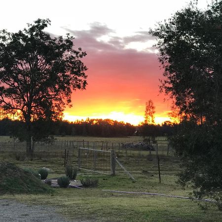 Lovedale Red Gum Cottage Exteriör bild