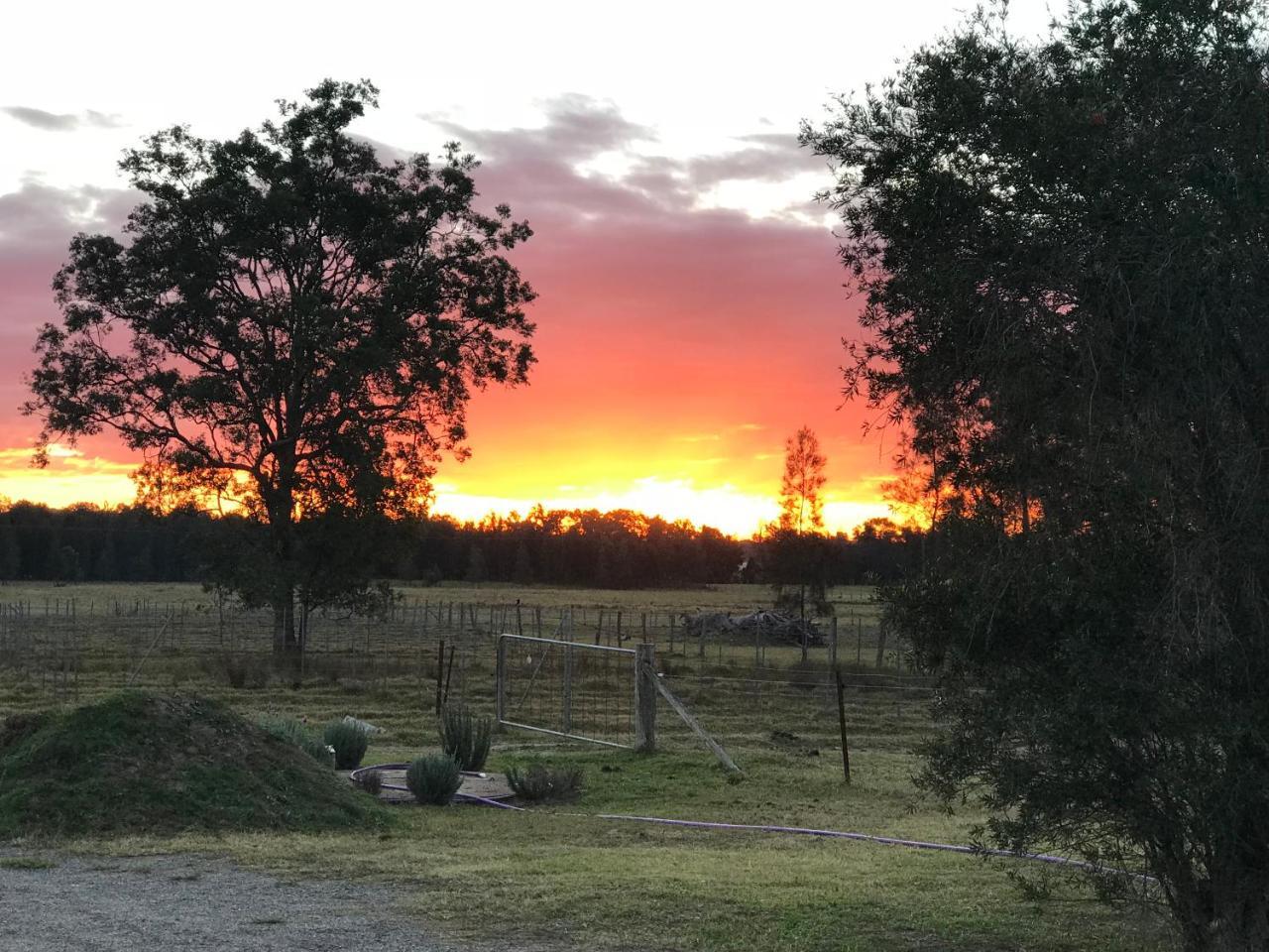 Lovedale Red Gum Cottage Exteriör bild